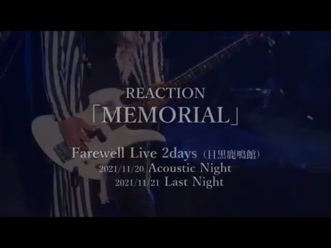 REACTION / INSANE - 発狂 - - YouTube