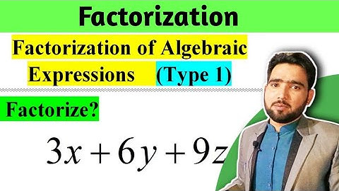 Factorization of Algebraic Expressions Class 8,9 Algebra | Type 1 | Naimat Maths