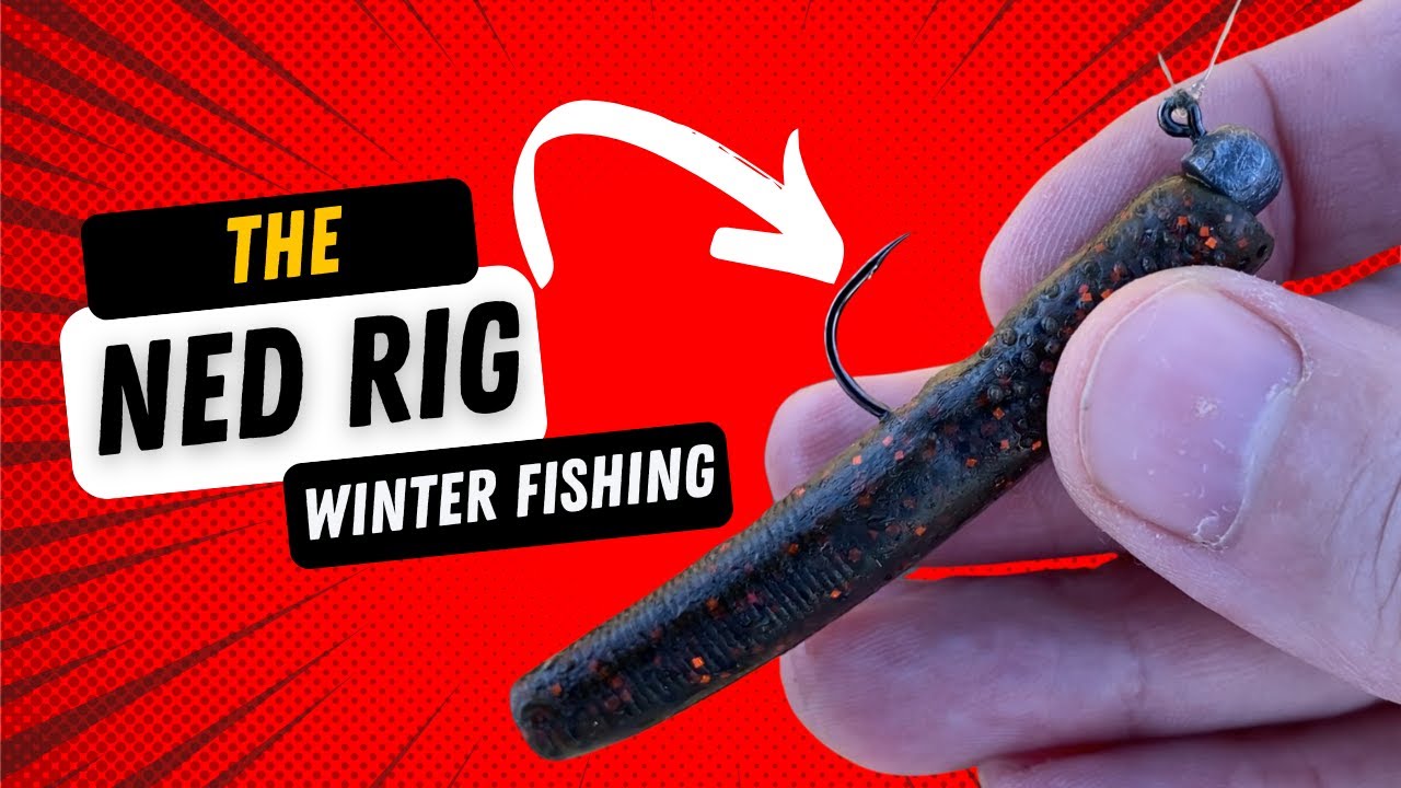 THE NED RIG: Crushing Winter Fishing!