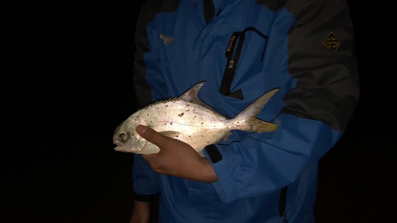 Late Pompano Fishing on New Smyrna Beach YouTube