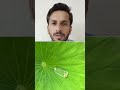 قدرت کا کرشمہ #subscribe #viralvideo #shortsfeed