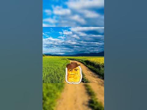 #мем#прикол#стоять ковбой! # - YouTube