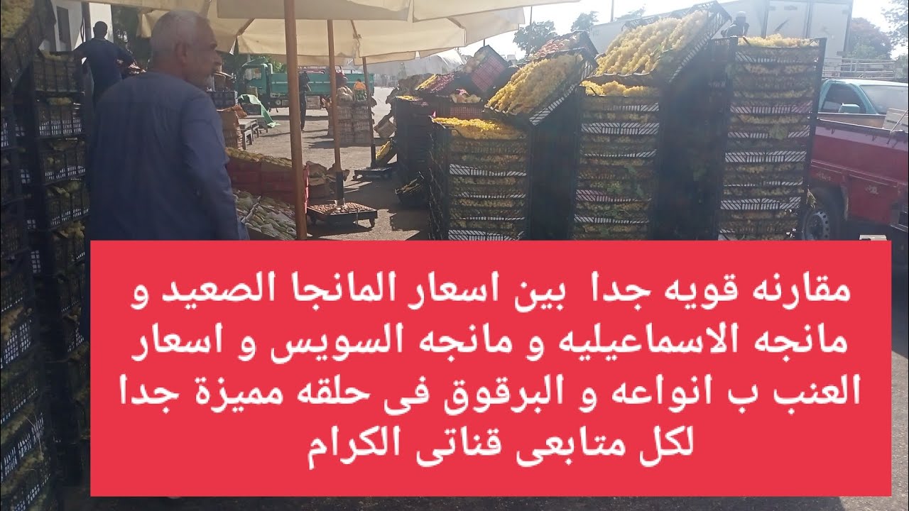 مقارنه قويه جدا بين اسعار المانجا الصعيد و مانجه الاسماعيليه و مانجه ...
