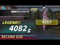 【レジェンダリーフィッシング】【PS4】伝説のグレイリング【釣り】【ルアー】