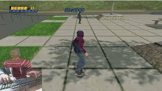 Hardflip And Heelflip Over Kenny 1S 690Ms Zoo Thps 4 Challenge Speedrun 2022