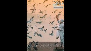 تلاوة🎧خاشعة للقارئ خليفه الطنيجي من سورة البقرة " وَأَحسِنُوا ۛ إِنَّ اللّهَ يحِبُّ الْمحْسِنِنَ "..