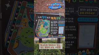 까치공원 영상