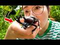 デカすぎるカブトムシを作りたい。大型個体だけで産卵させたら…？
