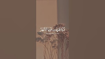 سورة العنكبوت (٥٨-٥٩)🤍