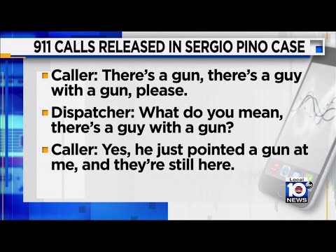 Sergio Pino’s daughter heard in chilling 911 call encountering alleged hitman: ‘There’s a guy with a gun’