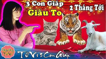 CHÚC MỪNG Con Giáp TRÚNG SỐ Độc Đắc, Đổi Đời Ngoạn Mục, Tiền Bạc Tăng Nhanh Tháng 1, Tháng 2/2019 DL