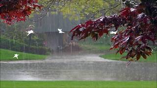 Happy Rainy Day Wallpaper Images