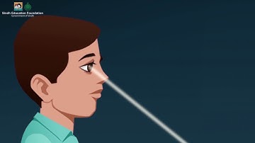 Properties of Light and Shadow Formation (Sindhi Version) I Science I Grade 5 Unit 7 Lesson 2