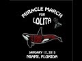 Miracle March for Lolita, Miami 2015