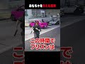 【#ストグラ】おもちゃを与えた結果【犬上リオ/ストグラ切り抜き】