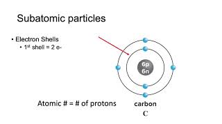 Subatomic particles