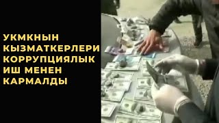 УКМКнын Мамлекеттик чек ара кызматынын аскер кызматкерлери коррупциялык иш менен кармалды