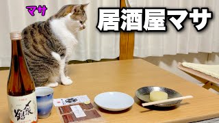 Car camping trip canceled due to heavy snow! On days like this, I eat oden with my cat in my room.