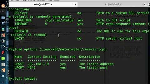 shell shock Vulnerability Practical