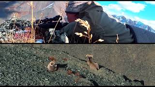 hunters routine chasing a bighorn sheep in the coldest place on Earth