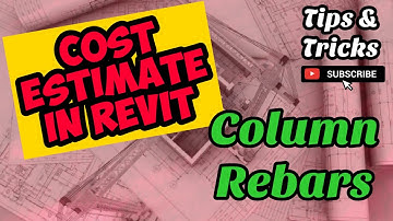 Quick Cost Estimate of Column Rebars in Revit. Program of Works in Revit.