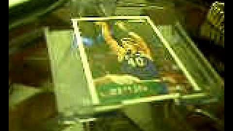 LARGE Timex display case for sale