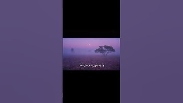 اللَّهُ لَا إِلَـٰهَ إِلَّا هُوَ الْحَيُّ الْقَيُّومُ | عبد الباسط عبد الصمد | سورة البقرة