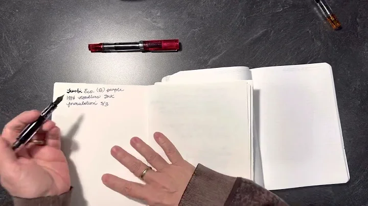 Noodler’s 1984 Ink-Formulation #3