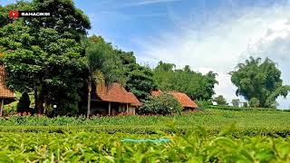 NYUMPUT - DOEL SUMBANG