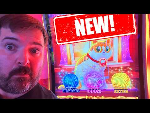 OMG! The Cutest NEW KITTY Slot Machine At Mystic Lake! Upto $20.00/SPIN!