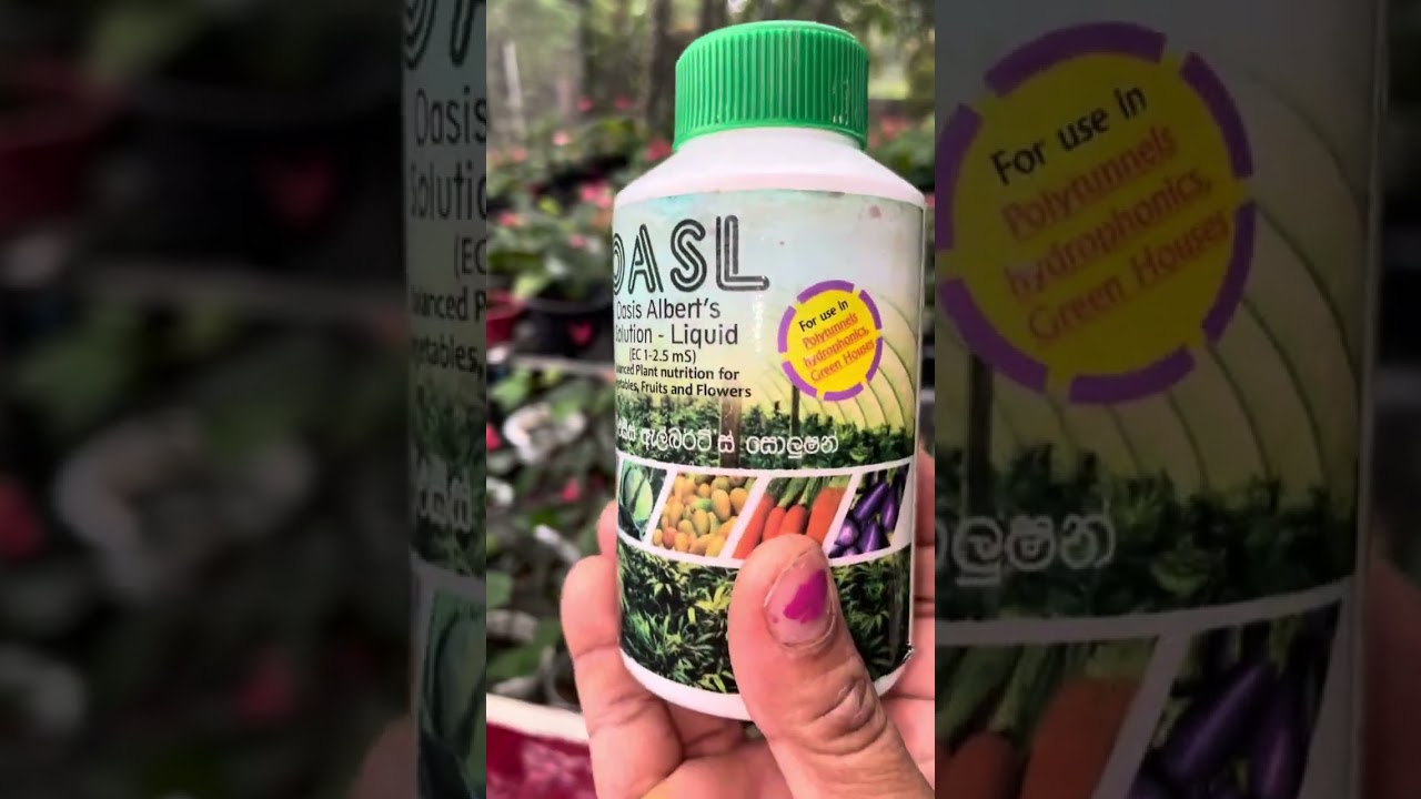 මේ අංකල්ව හොයා ගන්න අනිවාර්‍යයෙන්ම හොදේ..