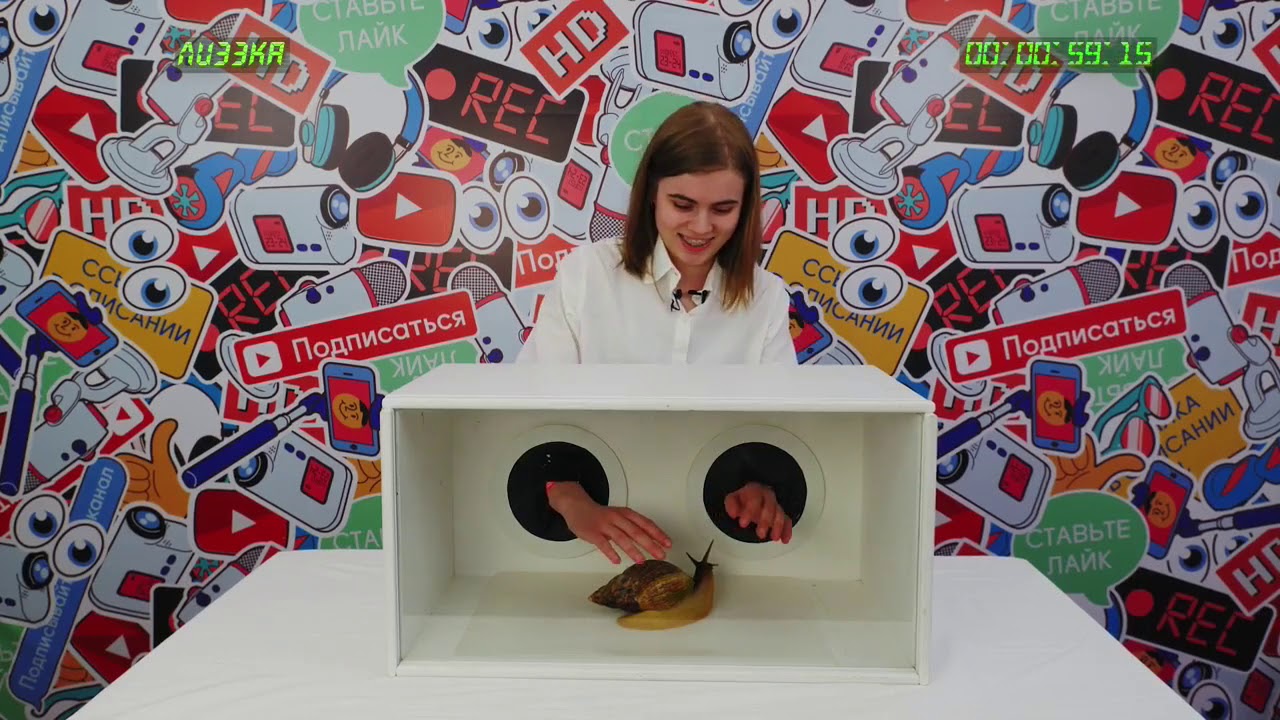 ящик нащупал. треш коробка. коробка для конкурса нащупал. коробка для нащупай шоу. шоу кажется нащупал для детей.