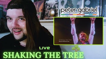 Drummer reacts to "Shaking the Tree" (Live) by Peter Gabriel