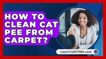 How To Clean Cat Pee From Carpet? - LearnToDIY360.com