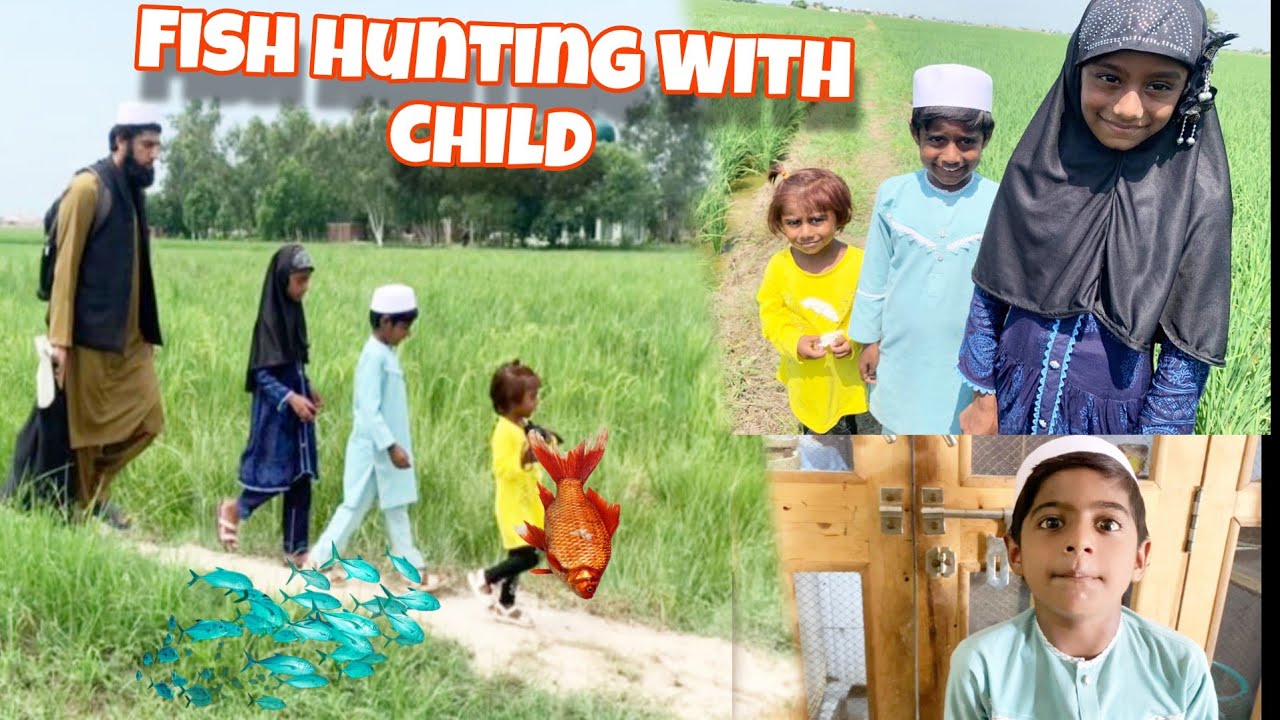 Fish Hunting With child| Fish Hunting| Arshad Vlogs 