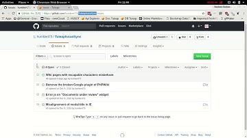TuleapCon 2017-Pack Stackstorm for github issue-preview