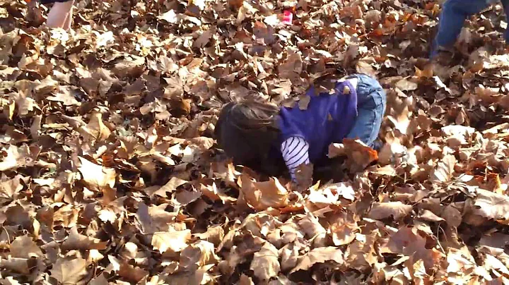 Kids in the leaves