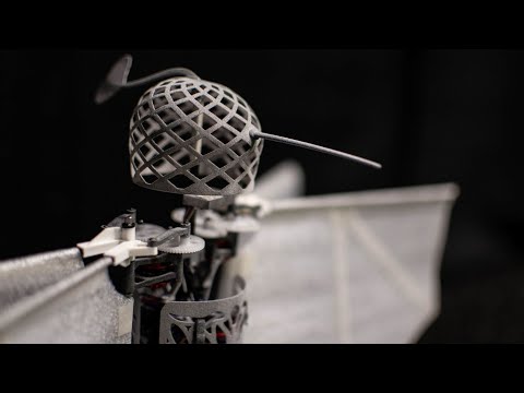 Flapper Drones Website