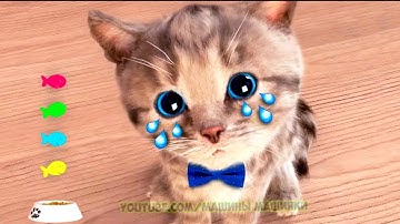 FUNNIEST CATS LITTLE KITTEN ADVENTURE - PLAY CAT CARE GAMES FOR TODDLERS AND PARENTS
