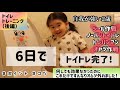 【トイトレ成功】6日でオムツ卒業。何してもダメだった2歳娘の1番近道だったトイトレの成功方法。トイトレに絶対欠かせないものはこれでした【6日でオムツ卒業。後編】戦略編。トイトレグッズ、ポイントやコツ