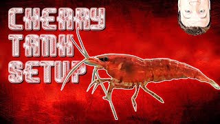 HOW TO Setup Cherry Shrimp Tank and Neocaridina