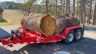 Could There be Something Great in these Old White Oak Logs? by Matthew Cremona 47,204 views 3 months ago 31 minutes