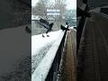 RUSSIYA MOSCOW APRIL 2025 Moscow Rek Shorts снег Snow Winter Nature RUSSIYA MOSCOW APRIL 2025 Moscow Rek Shorts снег Snow Winter Nature