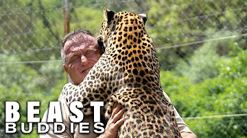 Are leopards aggressive?