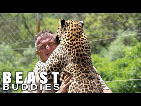 Video: Kde žije leopardí muž?