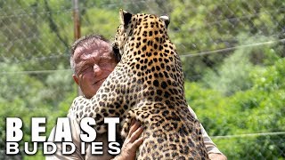 The Man Who Lives With Leopards | BEAST BUDDIES