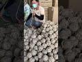 5 Reasons to Choose the Hemp Rope Ball for Your Loyal Friends #hempropeball #hemprope #hempball