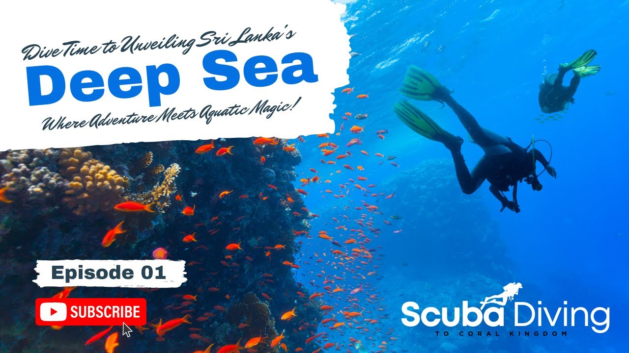 Scuba Diving Discovering the Deep Sea Paradise in Sri Lanka's Underwater Wonderland EP 01