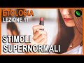 STIMOLI SUPERNORMALI , SEGNALI SCATENANTI e COMUNICAZIONE ANIMALE -Etologia Lezione 11