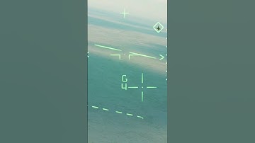 What is that Twist Maneuver Your doing?  #dcs #f14